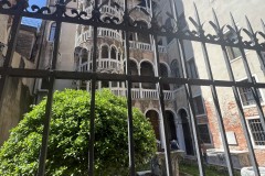 IMG_6449
